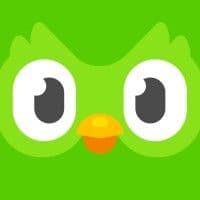 Duo the owl isologo